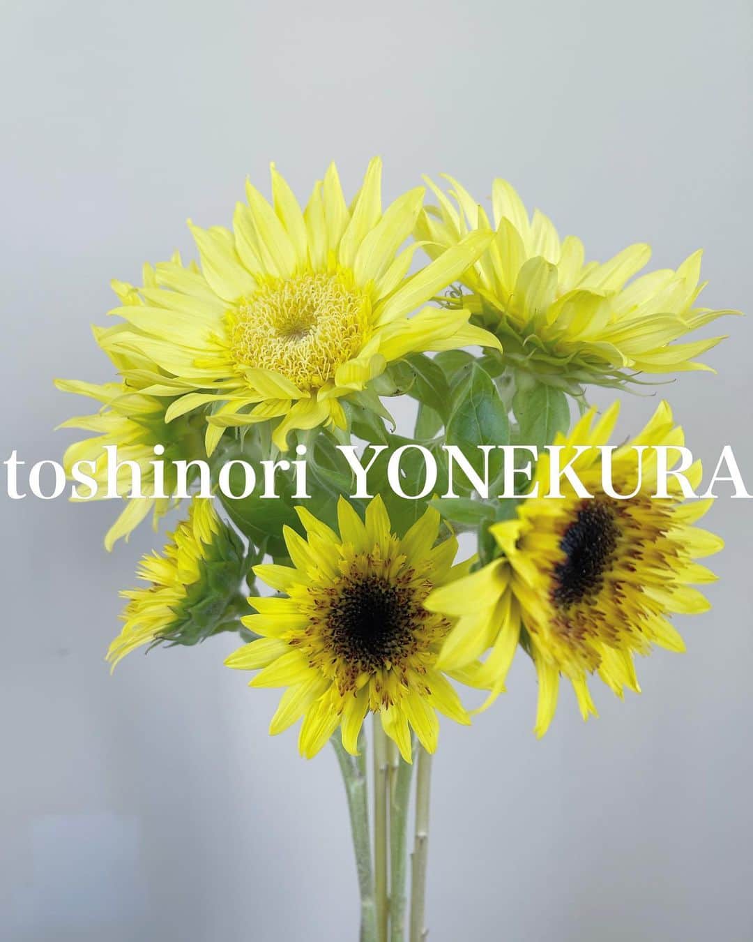 米倉利紀さんのインスタグラム写真 - (米倉利紀Instagram)「flowers of this week #男花 #花のある生活」7月16日 19時18分 - toshi_yonekura