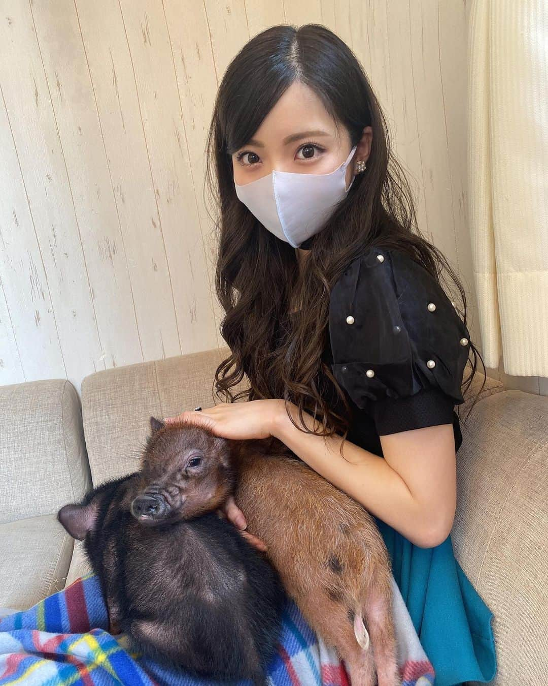 山下みちるさんのインスタグラム写真 - (山下みちるInstagram)「・ 念願のマイクロブタカフェに🐷🤍  人懐っこくて可愛すぎて、一瞬でトリコになりました🥰 ・ #マイクロブタ #マイクロブタカフェ #mipigcafe #目黒カフェ #目黒 #🐷 #카페 #cafe #micropig #instagood」7月16日 21時12分 - hello_chiruchiru