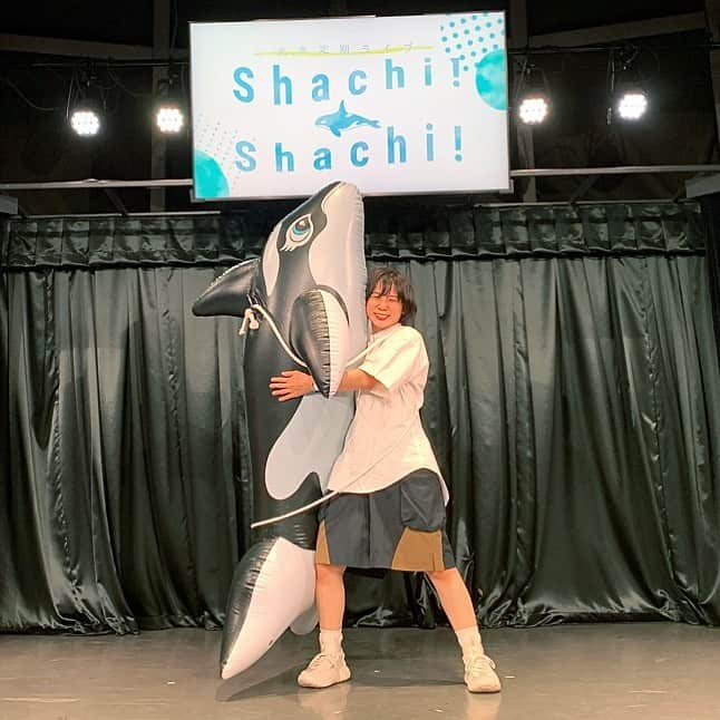 光永さんのインスタグラム写真 - (光永Instagram)「毎月開催ライブ「Shachi! Shachi!」今月もありがとうございました〜❣️ 良きネタもおろせたし、トークもコーナーも好き放題させて頂きまして😂 お客さん参加型はいつもうまくいかないけど、なぜか一番盛り上がりますね！笑 ㅤㅤㅤㅤㅤㅤㅤㅤㅤㅤㅤㅤ 次回はこちら！どなた様もぜひ🥰 8月29日(日) 「Shachi! Shachi!」 ヨシモト∞ドーム1 開演17:00 終演18:00 前売1800円 ※FANYチケットから発売中！ ㅤㅤㅤㅤㅤㅤㅤㅤㅤㅤㅤㅤ #光永　#単独ライブ #シャチシャチ　#シャチシャチシャチ」7月31日 18時20分 - hinata_official__