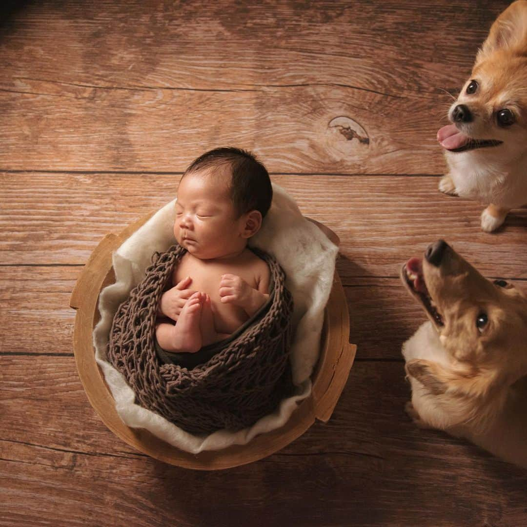 MomoseRyoko さんのインスタグラム写真 - (MomoseRyoko Instagram)「#studionavel #newbornphotography #babyboy #dogs #family #happy #photography  前回マタニティフォトでお世話になったネーブルさんにまた出張で撮影して頂きました！沢山の素敵なお写真有難う御座います。 今しか残せないこの瞬間を大事に日々子育て楽しく奮闘中です！ お仕事もぼちぼち復帰してます〜💓」7月31日 18時28分 - ryokomomose