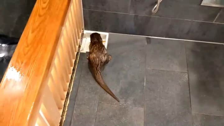 ちぃたん☆のインスタグラム