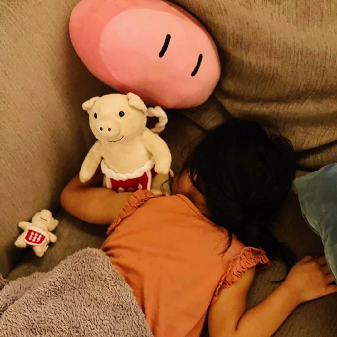 田村淳のインスタグラム：「おきにいり 長女4歳のお気に入りのぬいぐるみです！名古屋の有名みそかつ矢場とんのキャラクターの「ぶーちゃん」です。それとCLANNADのだんご「大家族」です。なかなか個性的なチョイスでパパはとても嬉しいです^_^  #矢場とん  #ぶーちゃん  #CLANNAD #だんご大家族」