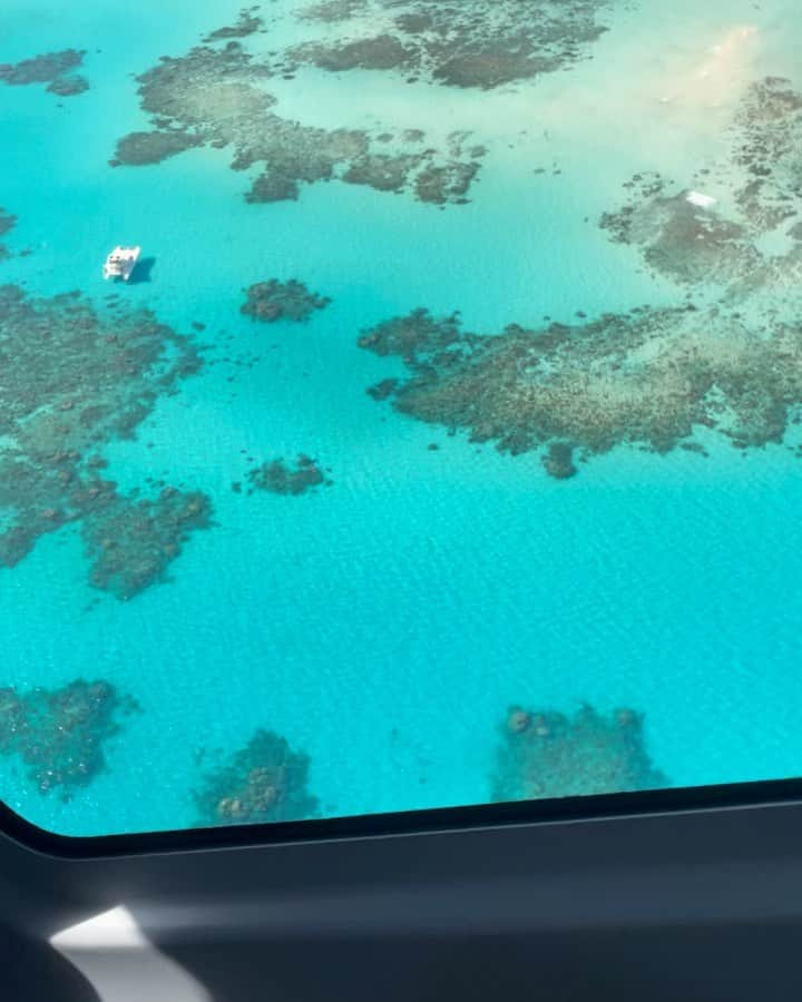 ビクトル・サンチェス・マタのインスタグラム：「😍🇦🇺🐠」
