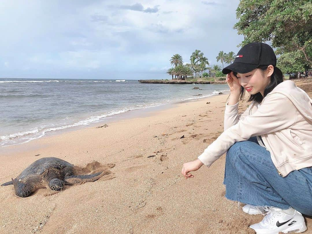 小栗有以さんのインスタグラム写真 - (小栗有以Instagram)「また行きたいな〜🐢🌺  ウミガメさんに会えました…！  #HAWAII#ウミガメ#ホヌ #ハワイシリーズ#アリィビーチ #サロペット」7月17日 10時48分 - yuioguri_1226