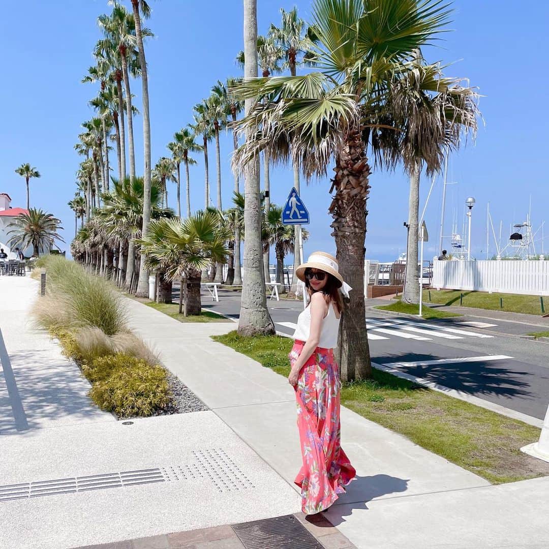 阪井あゆみのグルメインスタ