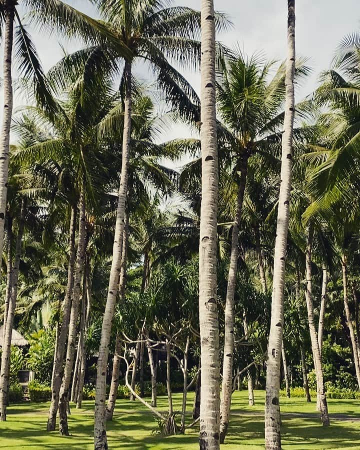 ポール・ソリアーノのインスタグラム：「@severianoelliott enjoying @shangrilaboracay」