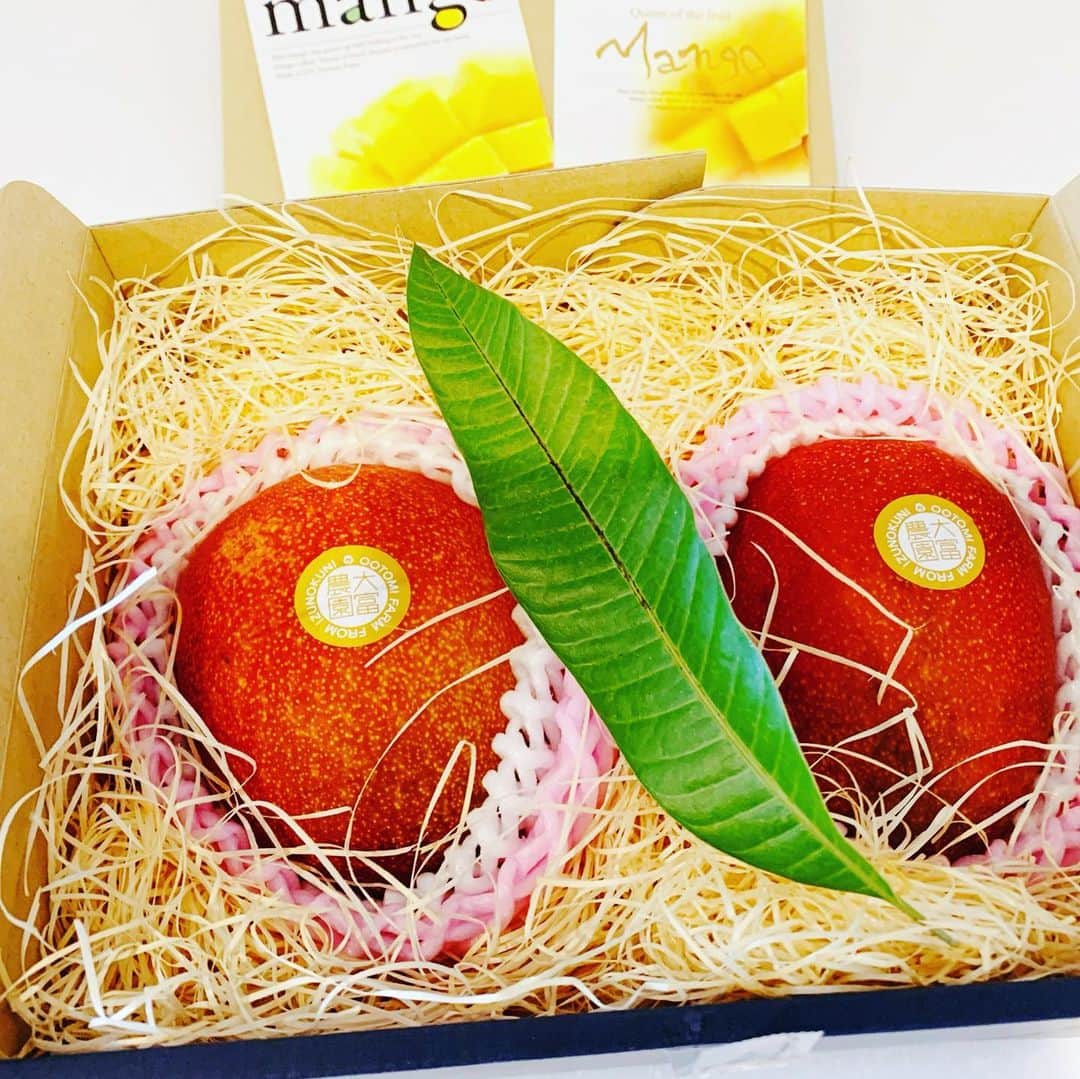 長野智子さんのインスタグラム写真 - (長野智子Instagram)「夏の太陽のように鮮やかなマンゴーがお友達から届きました💕  嬉しすぎる🥰   #大富農園  #マンゴー #夏 #フルーツ #季節の贈り物 #ありがとう」7月17日 17時33分 - naganotomoko