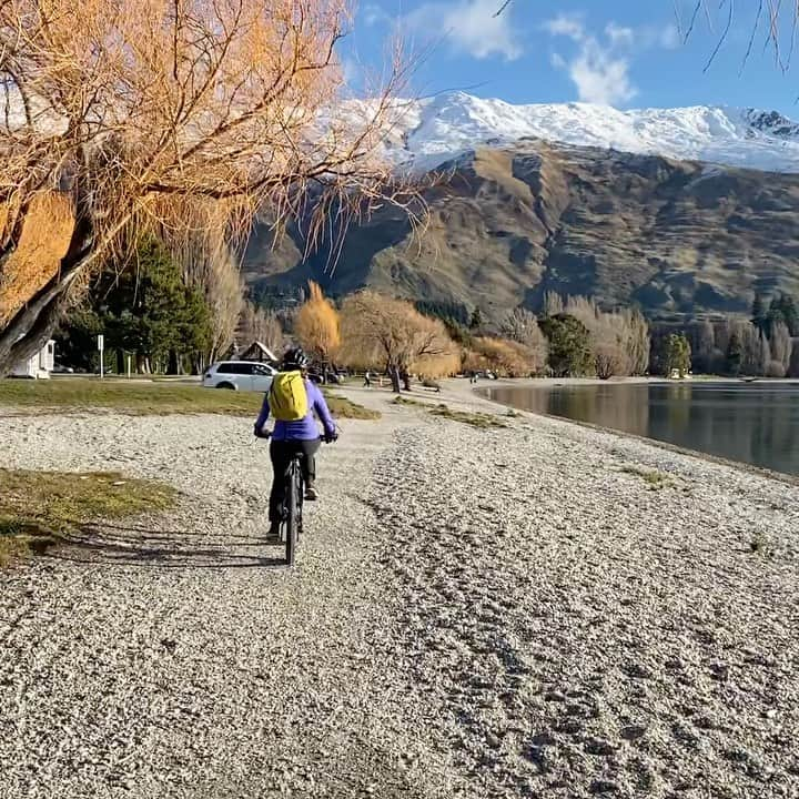 エリザ・マッカートニーのインスタグラム：「Just some of the biking we did around Lake Wānaka. Loved the freedom of going away for 10 days and doing whatever I felt like without having to think about training 😌 You can probably tell what day was zero degrees, my fingers froze a little in my gloves ❄️」