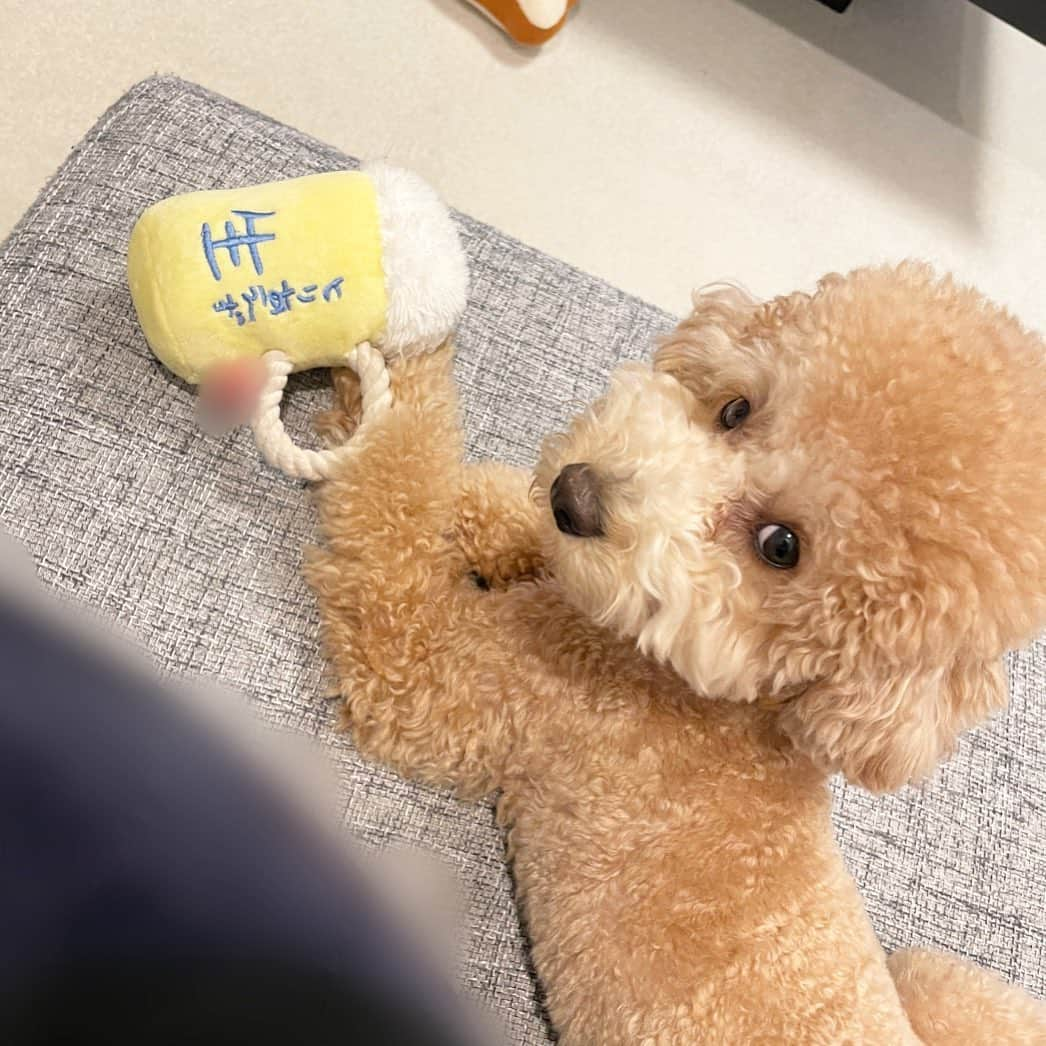 宮澤智のインスタグラム：「★ 昨日関東甲信も梅雨明けしましたね☀️ 一気に暑くなったので 熱中症などくれぐれもお気をつけください🥵 喉が渇いたと感じていなくても こまめな水分補給を🥤🧊」