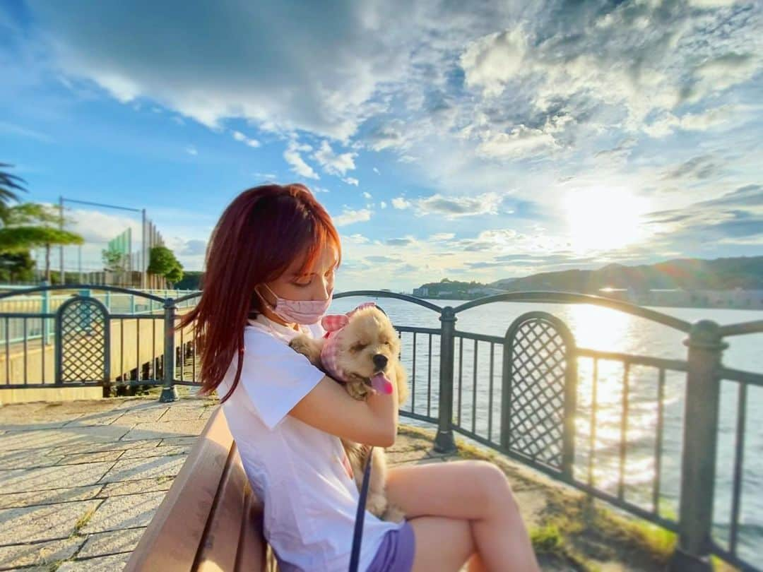 横町ももこさんのインスタグラム写真 - (横町ももこInstagram)「💖  SUNSET🐶☀️  #ぬぴすたぐらむ #アメリカンコッカースパニエル #アメコカ　#4ヶ月 #lovepet #puppy  #愛犬家 #犬が好き  #中型犬 #dogstagram  #犬スタグラム #いぬすたぐらむ  #AmericanCockerSpaniel #cockerspaniel #cocker #いきなりマリッジ　#AbemaTV #移住生活 #北九州　#福岡移住 #犬のいる生活」7月17日 18時47分 - momochadayo