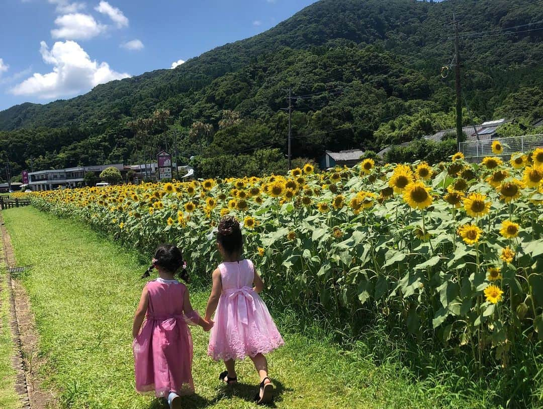 北﨑千香子さんのインスタグラム写真 - (北﨑千香子Instagram)「笑うと目がなくなる選手権😊🏅笑 ＊ 指宿の池田湖にあるひまわり畑🌻 ピーク過ぎてた感あったけどギリギリセーフ💨 ＊ ほかに見頃のとこあるかな〜？🗣 ＊ #🌻　#📸　#👧」7月17日 19時32分 - kitazaki_chikako