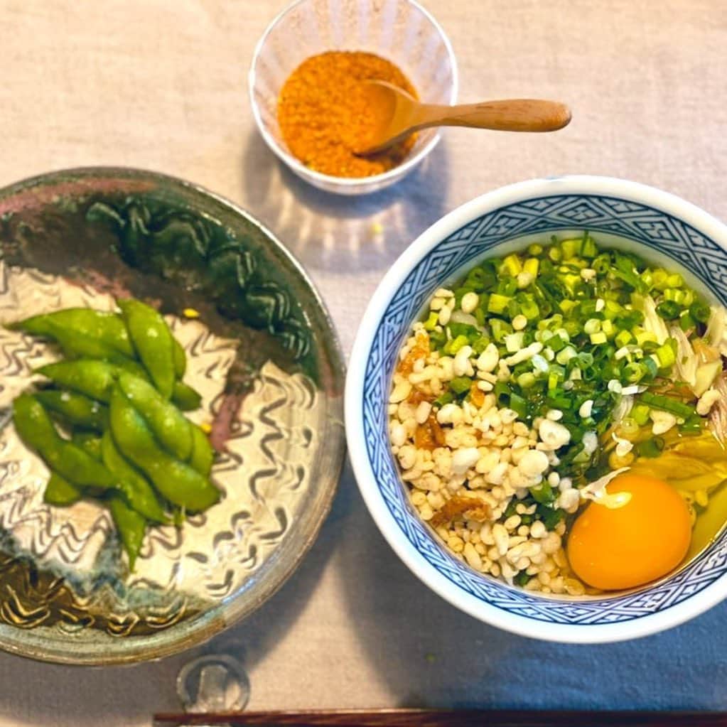 三浦瑠麗さんのインスタグラム写真 - (三浦瑠麗Instagram)「サーカスのネコ。 お昼ごはんは倉敷うどんのぶっかけ。」7月17日 21時12分 - lullymiura