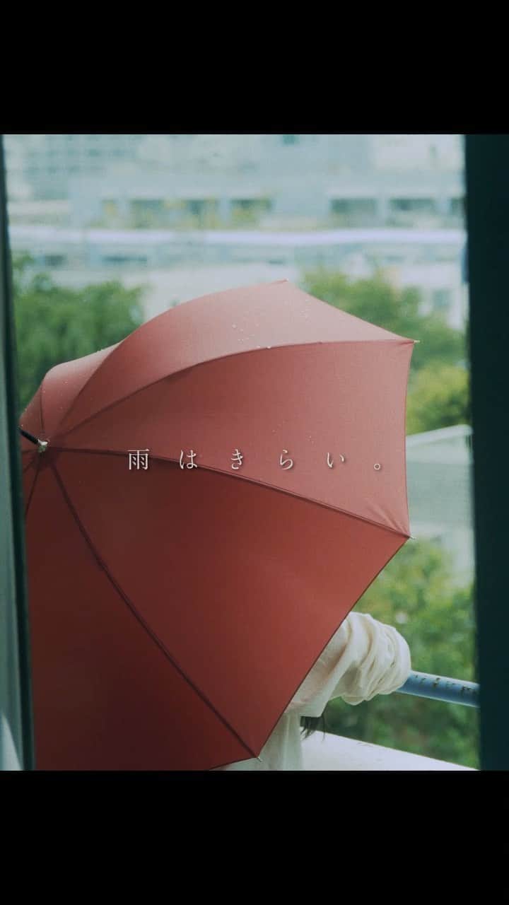 にゃんぞぬデシのインスタグラム：「『 雨はきらい。』 縦サイズ MUSIC VIDEO インスタで限定公開しました！  縦の映像は本当に切ない雨の日を過ごしているみたいな気持ちになります。  Director / Cinematographer ：Toru Akamatsu(@toru__0119)  Producer ：Junichi Ohki(@iamjun27)  通常バージョンもYouTubeてご覧ください☂️  https://youtu.be/NTb-1Q2LVV0  +++ 作詞・作曲 にゃんぞぬデシ  編曲 宮野弦士  Produced by 宮野弦士 E.Bass , A.Guitar , E.Guitar A.Piano , E.Piano , Organ , Programming　 ：宮野弦士 Recording and Mastering ：由田直也 at kivori studio Mixing 宮野弦士 at Copula Studio  連続リリース企画 “にゃんぞぬデシの恋歌日記” 第二弾デジタルシングル  「雨はきらい。」 2021年6月22日 リリース Spotify・Apple Music・iTunes等各配信サイトで配信中！ #にゃんぞぬデシ #雨はきらい。 #恋歌日記」