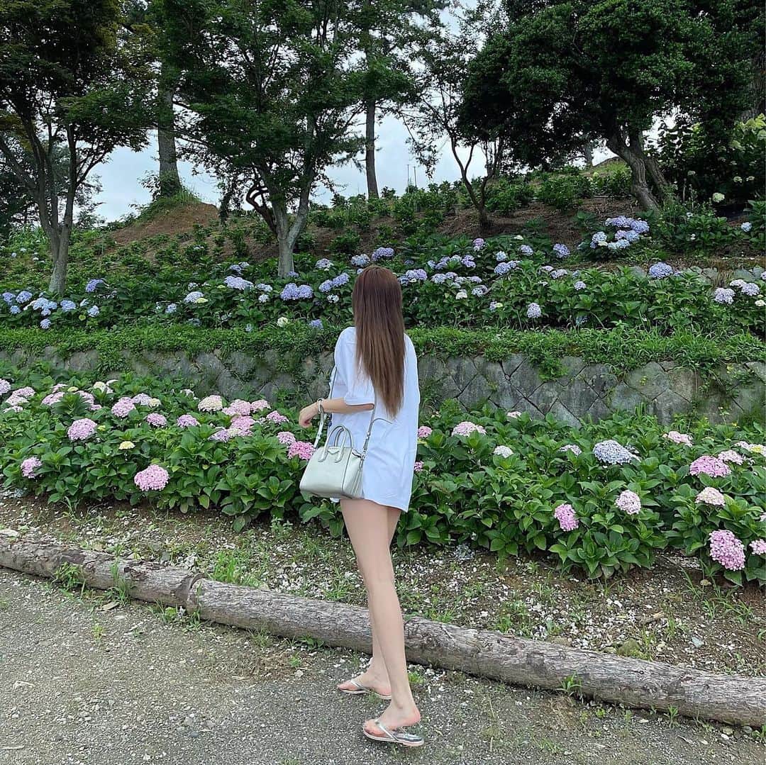 Choi Somiさんのインスタグラム写真 - (Choi SomiInstagram)「⠀⠀⠀⠀ #글랜더 #glander  내가 제일 좋아하는 수국 개화 시기가 짧아서 아쉽지만 하나하나 눈에 담는 중  주말은 시골에서 평온하게🍀」7月17日 21時27分 - cxxsomi