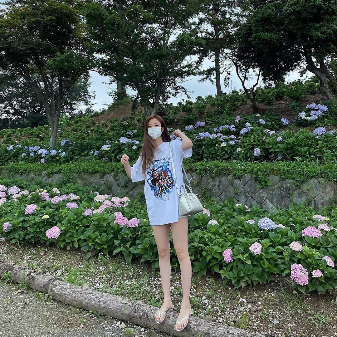 Choi Somiさんのインスタグラム写真 - (Choi SomiInstagram)「⠀⠀⠀⠀ #글랜더 #glander  내가 제일 좋아하는 수국 개화 시기가 짧아서 아쉽지만 하나하나 눈에 담는 중  주말은 시골에서 평온하게🍀」7月17日 21時27分 - cxxsomi