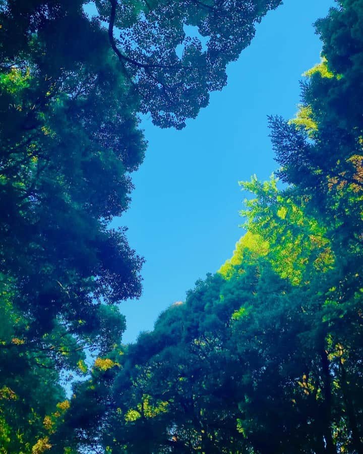のインスタグラム：「《OhaYOKAN》  今朝の 原宿表参道は快晴なり…☀️  日差しが強いですが  そよ風が心地よい朝🌅  朝ラン＆ウォークは  日曜日なので 少し遅い時間からスタート❣️  スロージョギング中心でした…🏃‍♀️👟  みなさま  笑顔でステキな1日を…💓  本日のコース  🏃‍♀️原宿出発→明治通り→北参道→新宿三丁目 →花園神社→文化センター通り→早稲田通り→ 若松河田町→女子医大通り→曙町→靖国通り→ 新宿御苑→バスタ新宿→新宿駅→サザンテラス →代々木駅→明治神宮の森→原宿終点👟  ※今朝の  『YOKAN散歩』  映像は  明治神宮の杜にて  綺麗な木漏れ日…✨  そして 蝉が鳴き始めました…♬  #harajuku #omotesando #tokyo #japan #原宿 #表参道 #morning #朝 #running #walking #朝ラン #ウォーキング #YOKAN散歩 #OhaYOKAN #朝活 #streetart #街角アート #sunlightleakingfromtrees #木漏れ日 #青空 #bluesky #meijishrineforest #明治神宮の森 #tokyocameraclub #インスタ映え #instagram #笑顔でステキな1日を💓」