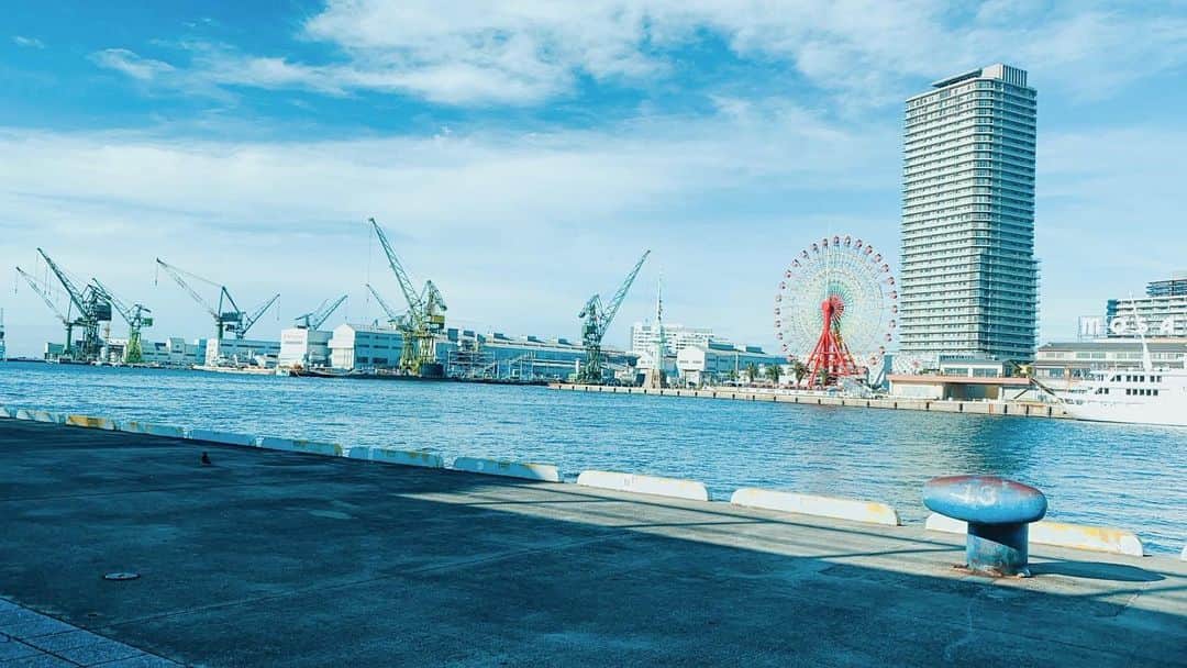 高山都さんのインスタグラム写真 - (高山都Instagram)「6時半に目が覚めて、港を走ってみた神戸の朝。 空が高くて、セミが鳴いてて、夏始まってますねぇ。」7月18日 7時56分 - miyare38