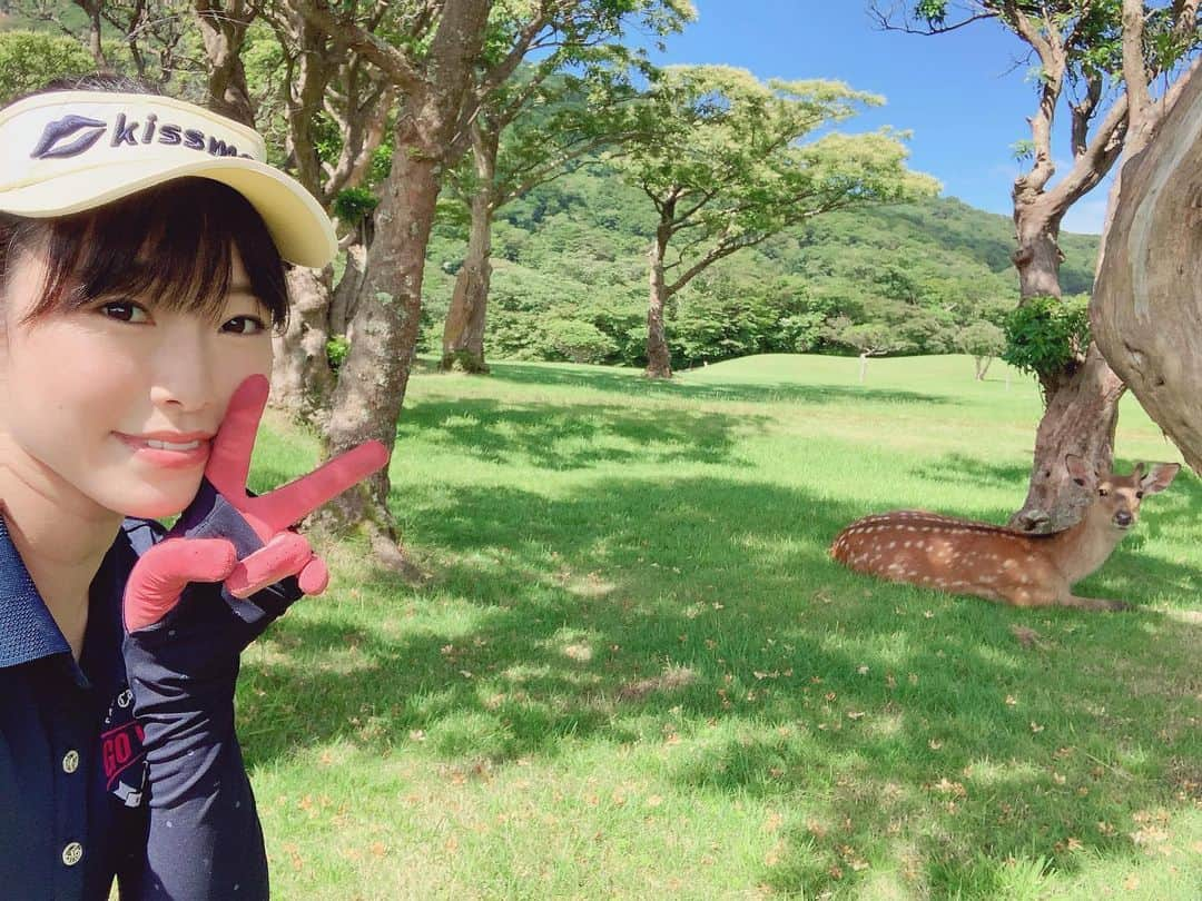 小田飛鳥のインスタグラム：「昨日は大西ライオンさんのチャンネル『ゴル配ないさー』の収録でした🏌️‍♀️ 標高1059m、富士山が臨める素敵なゴルフ場で、私の拙過ぎるゴルフですがライオンさんのお陰で楽しくプレー出来ました🦁 ライオンさんと鹿さんの共演も見られました💕 大西ライオンさん、（@onishilion2010）ありがとうございました！ #天城高原ゴルフコース #天城高原 #ゴル配ないさー #大西ライオン さん」