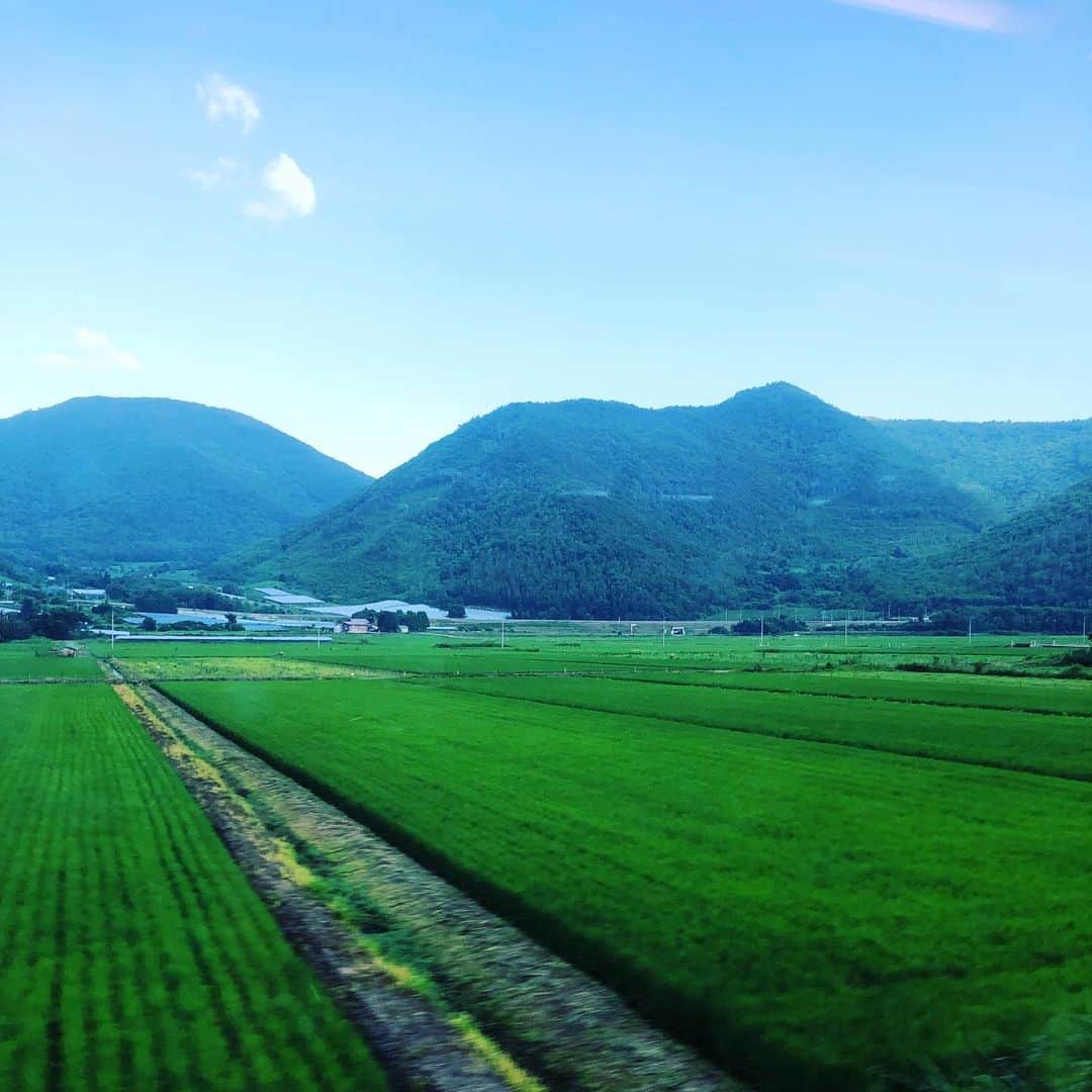 山本高広さんのインスタグラム写真 - (山本高広Instagram)「山形は暑かったそして熱かった‼️  #山形 #暑い #そして #熱い #でも #鉄板ネタ　の #赤井英和　さんが #ウケなかった #山形では #ツボ　が #違うらしい #ありがとうございました」7月18日 20時05分 - _yamamoto_takahiro_