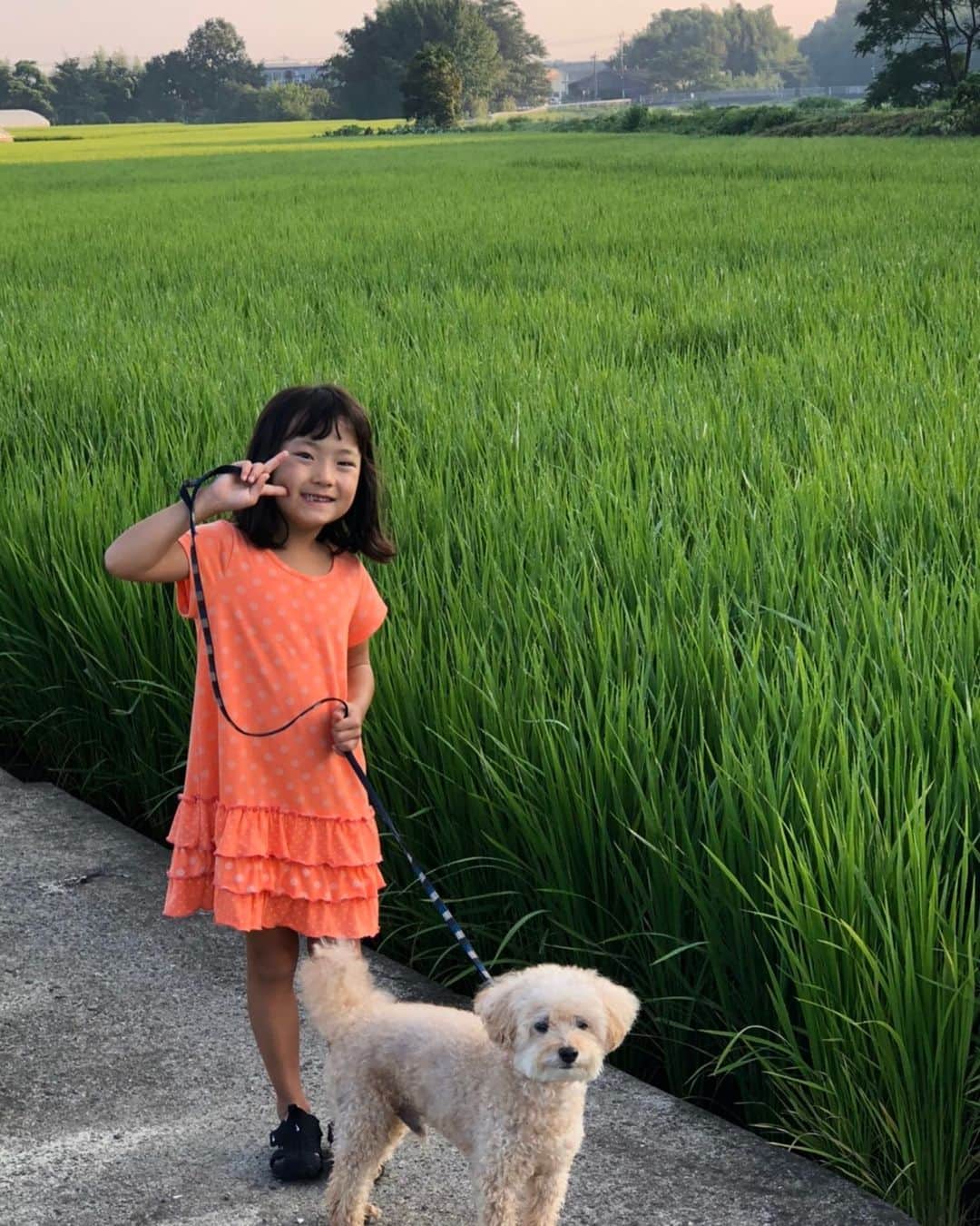 エハラマサヒロさんのインスタグラム写真 - (エハラマサヒロInstagram)「今年と田舎に行けないのな。  #ええ写真すぎてカッコいい #ジブリのワンシーンみたいでカッコいい #隣の家のボウズの子に「やーいお前んちおっばけやっしき〜」て言われそうでカッコいい」7月18日 16時10分 - eharamasahiro