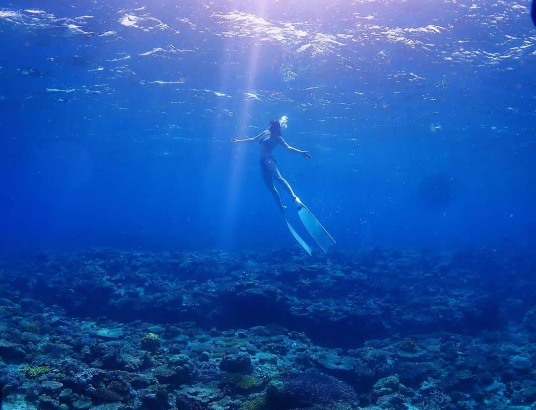 林檎蜜紀のインスタグラム