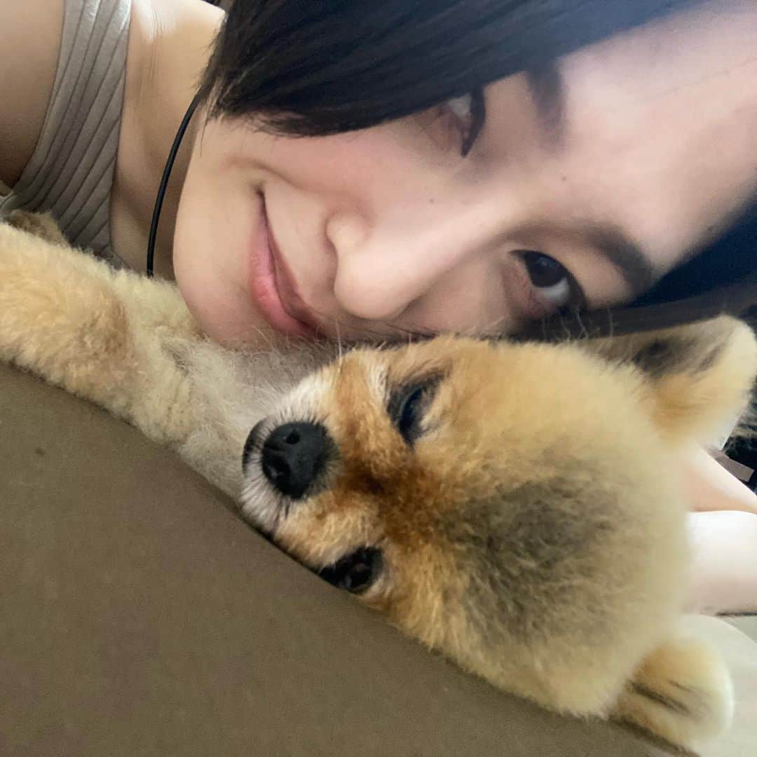 小柳歩さんのインスタグラム写真 - (小柳歩Instagram)「💓💓💓 #犬 #ポメラニアン」7月18日 23時52分 - koyayukoyayu
