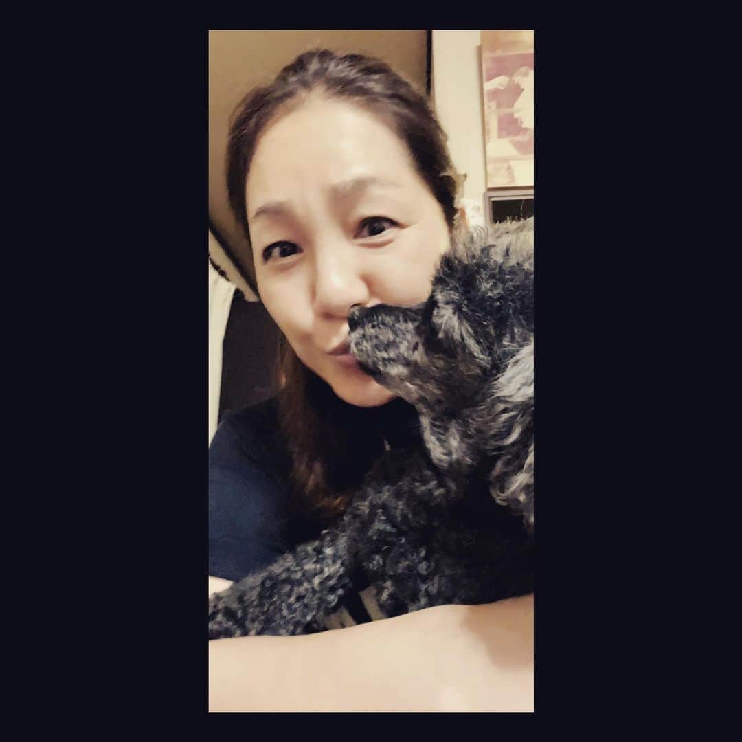 井上貴子のインスタグラム：「4月に怪我してから もう3ヶ月。 ようやく今月入ってから やっとやっとリハビリトレーニングを 開始して…  どうにか25日の試合までに 受け身をとれるようにと 2ヶ月何もできなかった空白を 埋めております。  父のワクチン二回目ということで 実家に帰ってきてます。  トレーニングも欠かさず 頑張ってますー。（あたりまえですが）  やはりケガや病気をすると 浮腫むんですね。  気がつかなかったけど 浮腫がとれたら 写真などをみても違いが解る。 まぁ解るのは自分だけでしょーけど。  （笑）  ブル中野さんのYouTubeの撮影の日は まだ歩くのも笑うのも響いて コルセット無しでは 外を歩くのも怖い時でした。  中野さんとは 楽しくお話をしたかったので かなりキツめにコルセットを巻いて 笑っても痛くないようにしてて。  先月2ヶ月が過ぎた頃 まだ残る痛みに不安を感じながら  整体に通い 少しずつ少しずつ リハビリトレーニングを始めたのです。  そろそろ受け身をとろうかなと イメトレしようとおもって 観た試合が…  この話はまた今度します。  がんばるぞーー。  Happyで^ ^  プロフィール画面に記載のURLより 通販サイト「神取屋」に飛べます^ ^  コロナ禍に携わる全てのお仕事の皆様。 心から感謝しています。 引き続き油断せずお気をつけてお過ごし下さいませ。 #井上貴子  #LLPWX #女子プロレス #紅緒と柊音 #トイプードル #あばら骨折 #リハビリトレーニング #www.instagram.com/llpwxofficial #llpwxインスタあります #LLPWXYouTube再開です #チャンネル登録お願い致します #カンドリーチキンカレー売れてます #神取テレビチャンネル登録お願いします #LLPWX通販サイト神取屋 #TikTokはじめてみた #Twitterも見てね #感謝 #STOPCOVID19」
