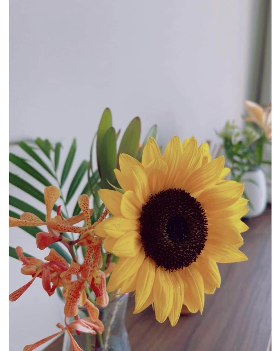 佐々木希さんのインスタグラム写真 - (佐々木希Instagram)「最近は毎日バタバタしていて、お花を飾る余裕がなかったけど、Oisixでお花を頼んで届いた☺︎ とっても癒される！頼んで良かった〜♡  今日も皆様良き１日に…🌻🌱」7月19日 11時15分 - nozomisasaki_official