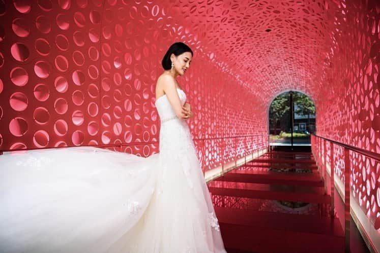 藤井夏恋さんのインスタグラム写真 - (藤井夏恋Instagram)「🤍💐  #hotelwedding  #weddingdress  #wosaka #hotel」7月19日 16時47分 - fujiikaren_official