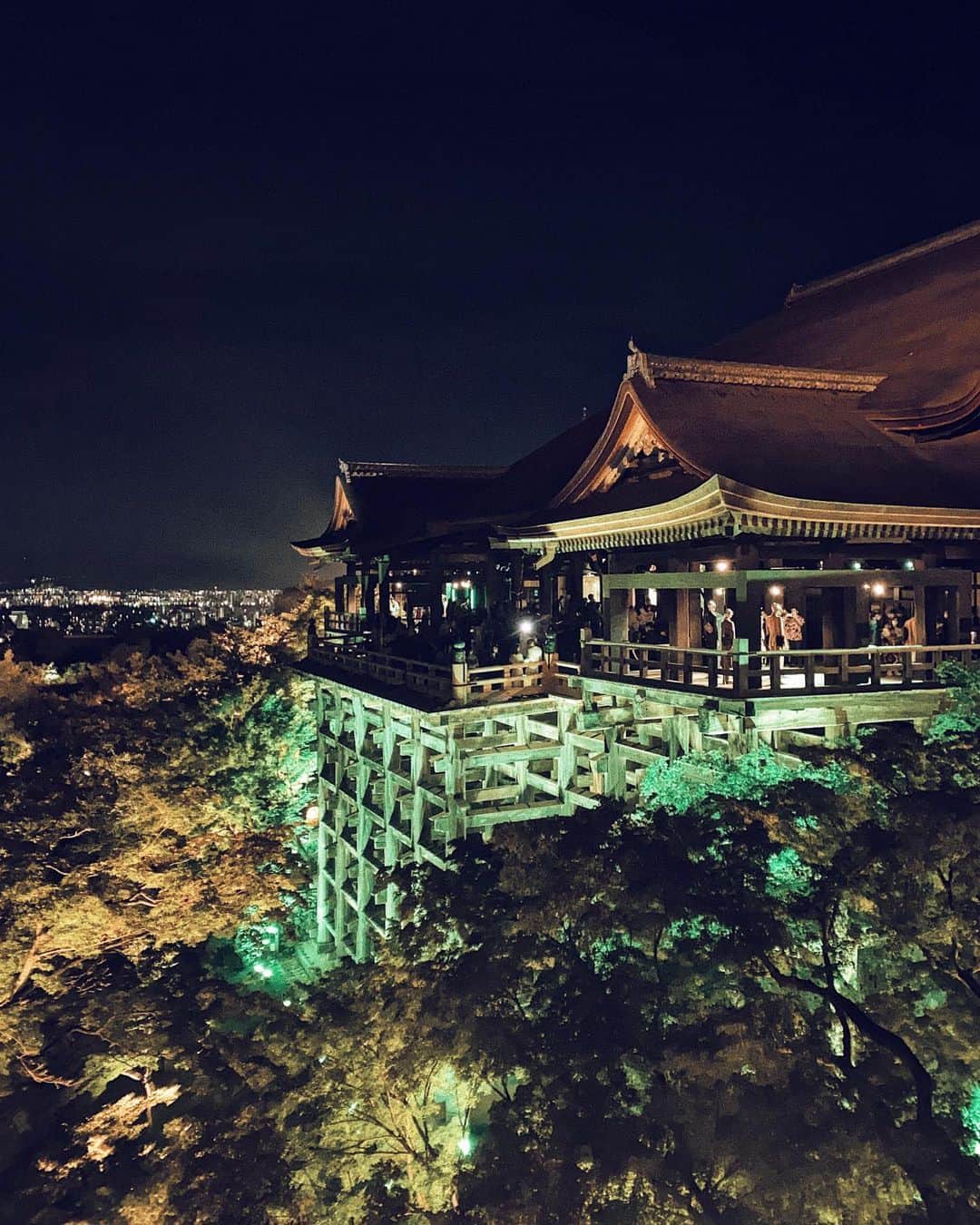 三浦大地さんのインスタグラム写真 - (三浦大地Instagram)「GUCCI in KYOTO @gucci   清水寺がグリーンとレッドのライトに染まり、まるっとGUCCIのエキシビション会場になった。  華やかな人達で輝く夜の古都。  日本の舞台といったら、やはり京都だよなって改めて感じました。  #gucci #gucciaria #gucciinkyoto」7月19日 18時31分 - daichi_1127