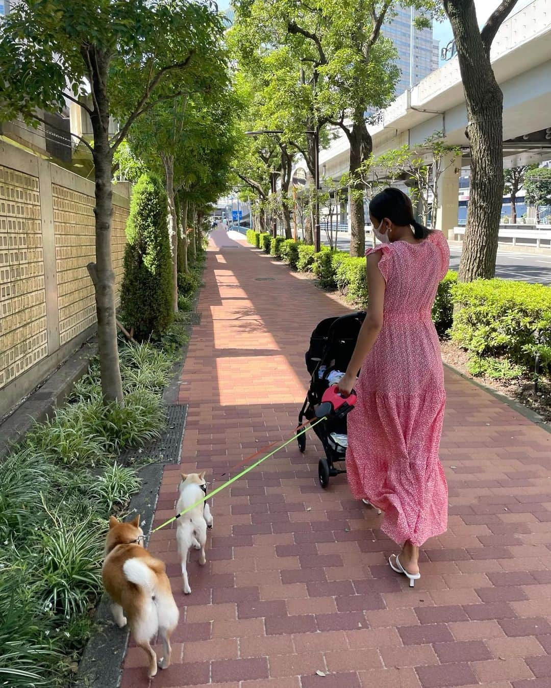 木佐貫まやさんのインスタグラム写真 - (木佐貫まやInstagram)「3人のベビちゃんたち連れてお散歩ー☀️💫✨🌿🎶  抹茶ティーラテどはまりちゅう。 フォロワーさんに教えてもらった、 ミルク多め、氷なし、パウダー普通のソイで 頼むのがお決まり！ 本当に美味しい。抹茶好きにはたまらん💕  このワンピースは最近ハマってる 海外の激安サイトのだよ✌🏿」7月19日 19時05分 - maaayaofficial