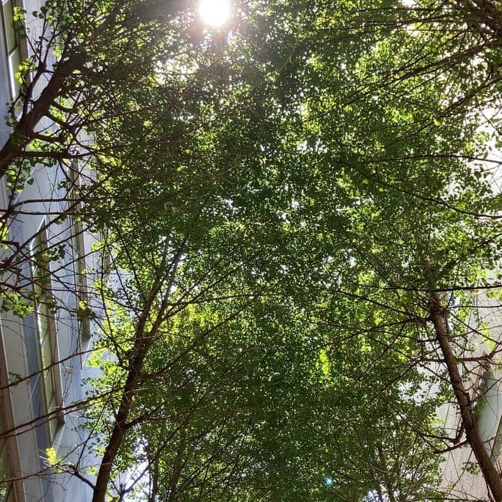池田鉄洋のインスタグラム：「気持ちいいのに気持ちよさげに撮れない。」