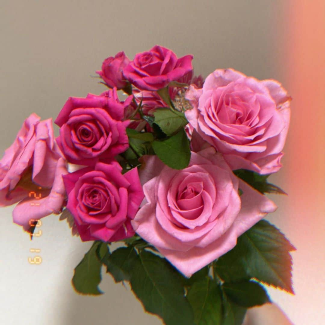 柴田阿弥さんのインスタグラム写真 - (柴田阿弥Instagram)「ㅤㅤㅤㅤㅤㅤㅤㅤㅤㅤㅤㅤㅤ 可愛い薔薇さん🌹❤️ ㅤㅤㅤㅤㅤㅤㅤㅤㅤㅤㅤㅤㅤ 今回のお花大きい〜(。・ω・。) 配送されてくるのが毎回の楽しみ🥰笑 ㅤㅤㅤㅤㅤㅤㅤㅤㅤㅤㅤㅤㅤ ㅤㅤㅤㅤㅤㅤㅤㅤㅤㅤㅤㅤㅤ #お花のある暮らし #お花屋さん #お花のある暮らしはじめました #バラの花束 #花のサブスク」7月19日 22時17分 - ayashibata0401