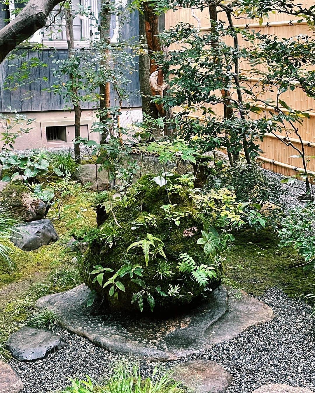 鈴木えみさんのインスタグラム写真 - (鈴木えみInstagram)「@gucci ブランド創設100周年を祝して、京都にて開催されたプレビューツアー "Gucci In Kyoto" まずは有形文化財である旧川崎家住宅で開催されたエキシビションBAMBOO HOUSE🎋 7/22-8/15 無料で一般公開されます（予約制） #GucciInKyoto #GucciBambooHouse #GucciAria #GucciDiana」7月19日 22時53分 - emisuzuki_official