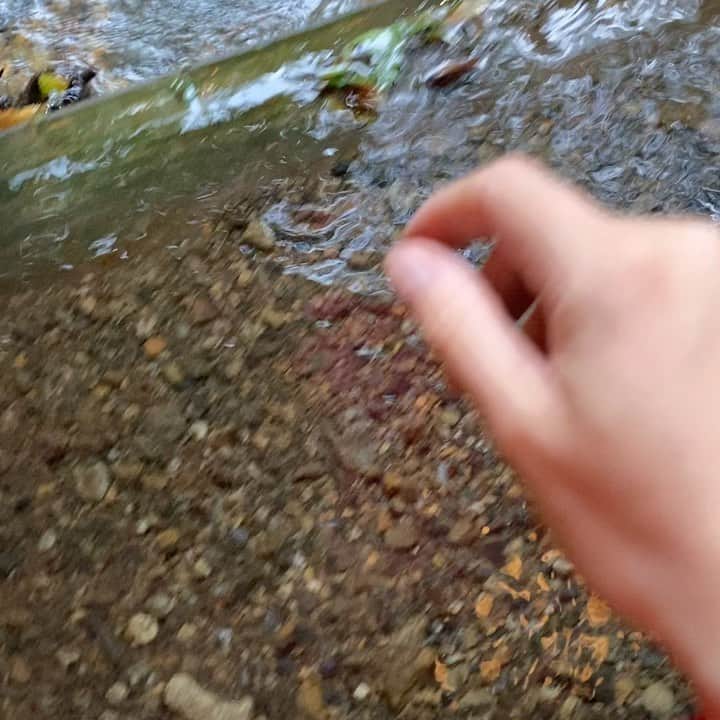 キャシー・リードのグルメインスタ