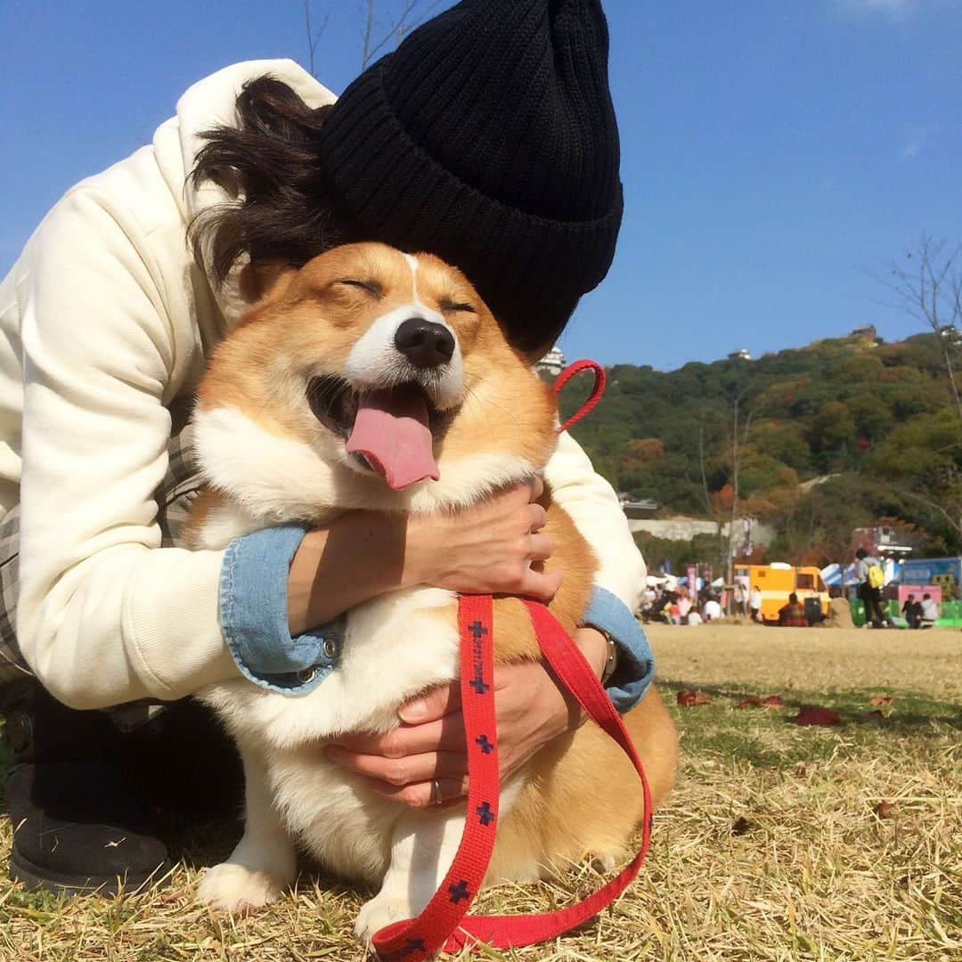 ericoのインスタグラム：「✩ ✩ 今日で1年 ✩ 毎朝力丸を見て 天使がいるって思った こんなにも可愛いくて こんなにも純真なものが この世に存在するのかって そのぐらい可愛かった そのぐらい愛しい存在だった  ほんとの天使になっちゃったね  ✩ #いつも心に力丸を  #君がいないと ✩  #それいけ力丸くん #コーギー  #犬のいる暮らし#pembrokewelshcorgi  #corgistagram #barked #myfavcorgi #buzzfeed #corgisofinstagram  #dailyfluff #9gag #weeklyfluff #dogstagram #corgibutt   #корги #코기」