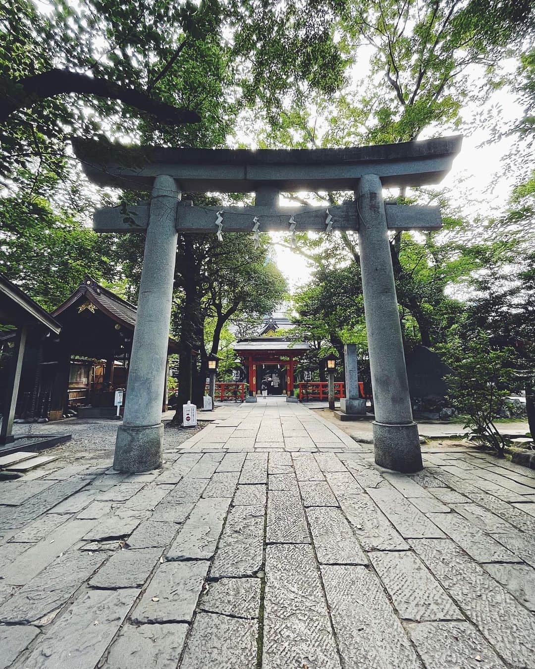 津田麻莉奈のグルメインスタ