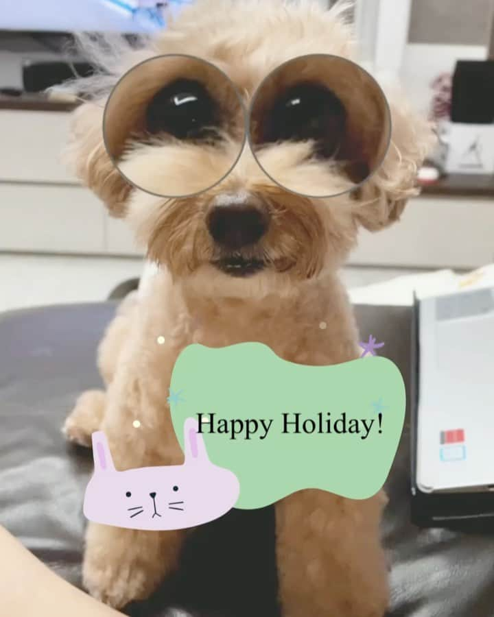 Truffle??松露?トリュフのインスタグラム：「📆(20Jul21) 🌻This is what I asked my pawrents this morning! #happyholiday friends❤️😘」