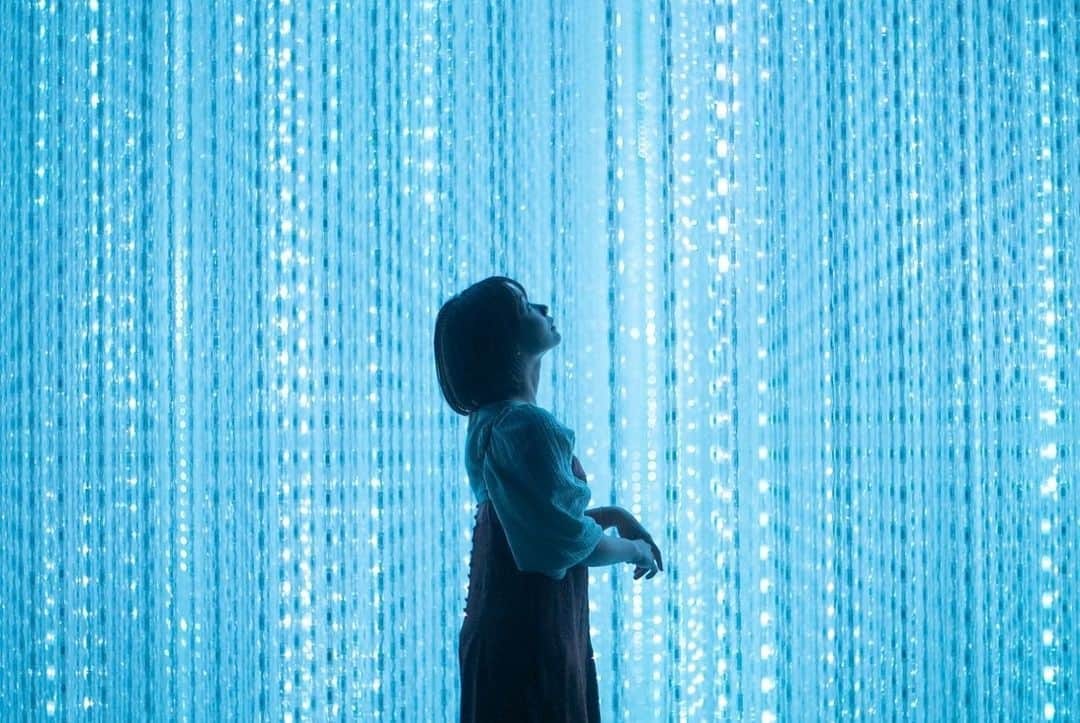 真奈さんのインスタグラム写真 - (真奈Instagram)「🟦  あおになりたい  #teamlab」7月20日 12時04分 - manatmnt0116