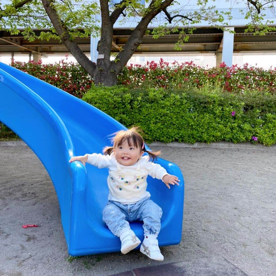 のインスタグラム：「ピクニック⛱☀️ . まだ長袖着てるくらいの、だーーーいぶ時差投稿ですが、いつもの仲良しメンバーでピクニックしてました🌳 . 娘もまだ、気持ち幼いけど、ビーバー前歯で楽しそうに笑うこの写真が大好き😆🤍 . お外で食べるお弁当は、格段に美味しいような娘🍱 食後のサッカーも、スプーンだけは離しません😂  この時は、ワンちゃんと近くで触れ合うのも初めてで、田中家のシャルルさんとドキドキのふれあいでした👧🏻🐶 . たくさん、娘の笑顔が見れた日だったな❣️もっと色んなところに連れて行ってあげたいのになぁ…😫🤍 . . . #ピクニック #家族 #仲良しメンバー #思い出投稿 #1歳7ヶ月 #ママライフ #女の子ママ #12月生まれ #成長記録 #育児記録 #娘」