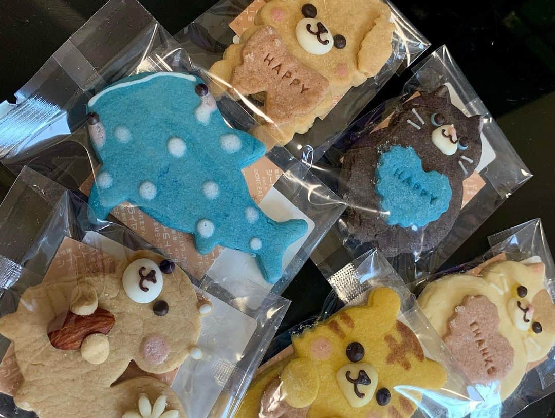 フィフィさんのインスタグラム写真 - (フィフィInstagram)「可愛い #クッキー を作ってもらいました〜♪フィフィのクッキー！ #エジプト の #デザイン も混ぜてくれたのが嬉しい♡そして、こんなにカラフルなのに #天然 の色素で着色するこだわり！ #sweets #おやつ  #いきものクッキー専門店 kurimaro collection https://cookie-kurimaro.com/」7月20日 12時58分 - fifi_egypt_official