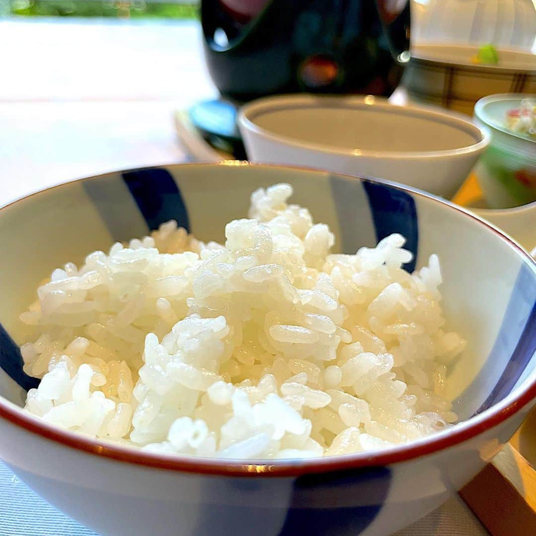 山田佳子さんのインスタグラム写真 - (山田佳子Instagram)「もりもり朝ごはん！美味しかったー🍚🍅🥬😆💕 ⁡ #元気がでる #美味しい #朝ごはん #健康食 #緑に囲まれて #中の坊瑞苑 #有馬温泉 #♨️」7月20日 13時29分 - yoshiko117