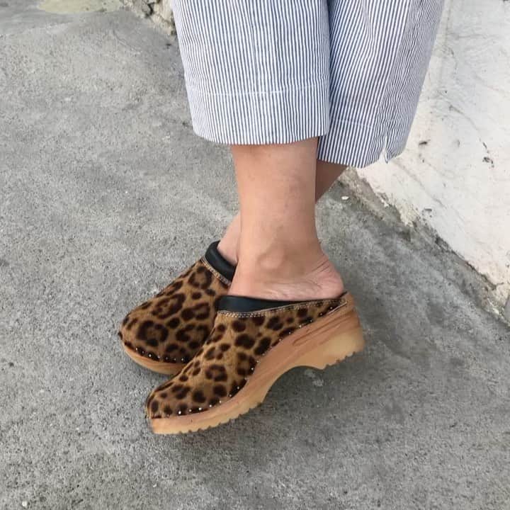 トロエントープのインスタグラム
