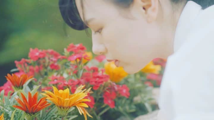 宮澤じゅりのインスタグラム：「.・°＊.*○°・.°・ . . このとき履いてる靴がとんでもなく走りづらかったので、走り方が変です☻笑 . . ぜひfullで観てね☆ . .＊＊＊＊＊＊＊＊＊. . YouTube Video Portrait 7 Akashi Kaikyo Park . .＊＊＊＊＊＊＊＊＊. . . .・°＊.*○°・.°・」