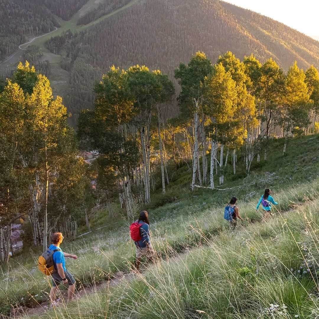 オスプレーのインスタグラム：「You’re a do-it-all kind of person, aren’t you?   The kind that knows that when the sun’s out and summer peaks, it’s high time to hit the trail, shop the market, climb the cliffs, raft the rivers and stretch the hours of the day doing a little bit of—well—everything. Bright days like these are what our Daylite Series are made for, and with a season of new colors available, it may just be time to find your new favorite. Visit the link in our bio to find yours. #ospreypacks」
