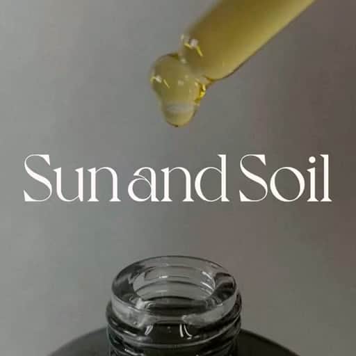 のインスタグラム：「@sun.and.soil_organics  Pop up のお知らせ  本日7/21(wed)- @maison.iena.jp  自由が丘店、広島店でpop up 始まります💚  7/22(thu)10:00-はMaison IENA jiyugaokaのinsta liveにおじゃまします。 是非みてください😊」