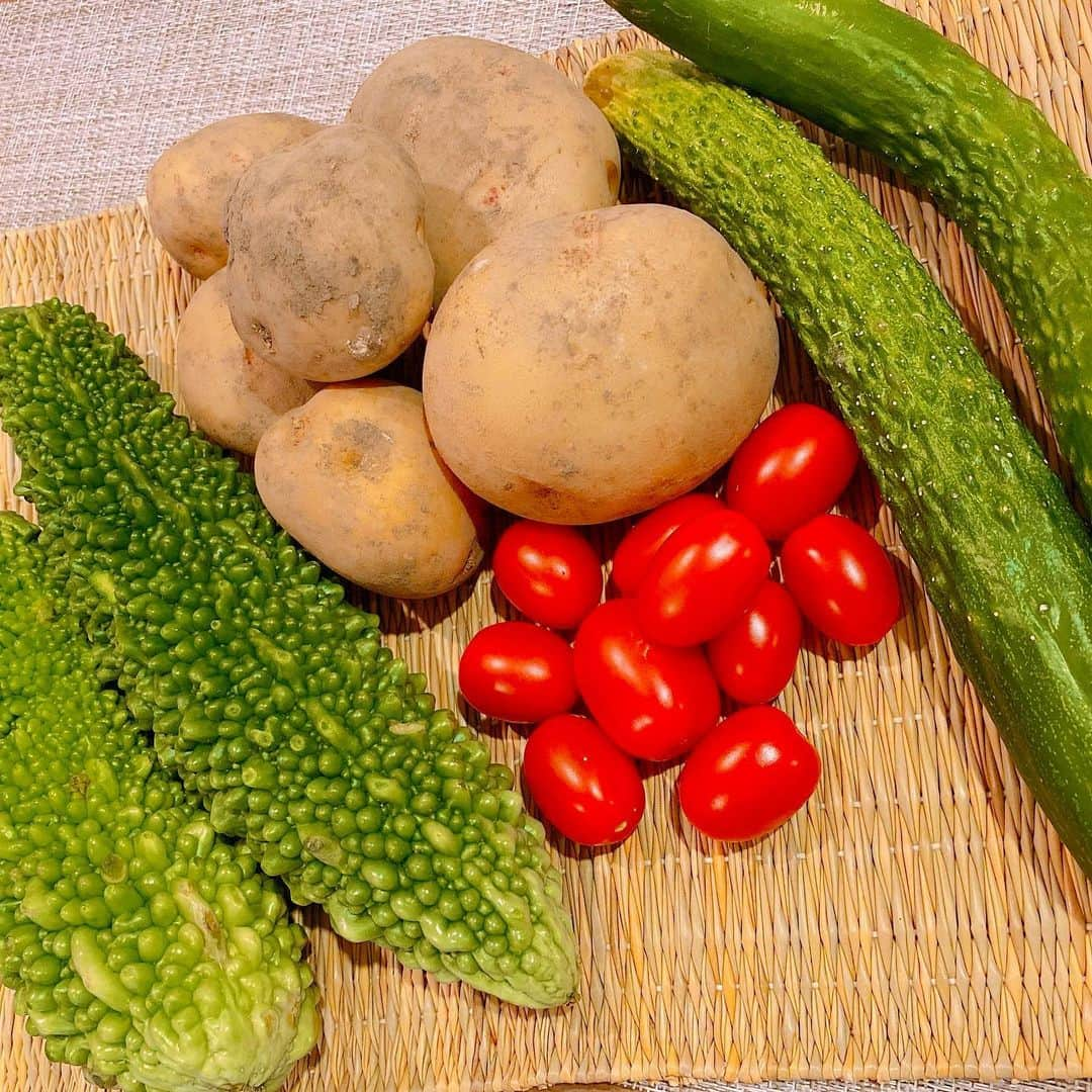 秋元真夏さんのインスタグラム写真 - (秋元真夏Instagram)「.  中学の友達が送ってくれた野菜🍅🥬 めちゃめちゃうれしい〜☺️🥰  何作ろっかな？  じゃがいももきゅうりもおっきい！！  #夏野菜 #🥒 #🍅 #🥔」7月21日 22時33分 - manatsu.akimoto_official