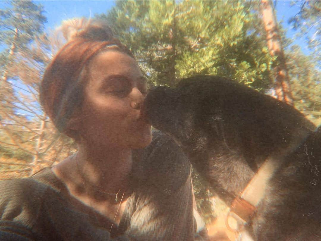 パリス・マイケル・キャサリン・ジャクソンのインスタグラム：「🐾♥️」