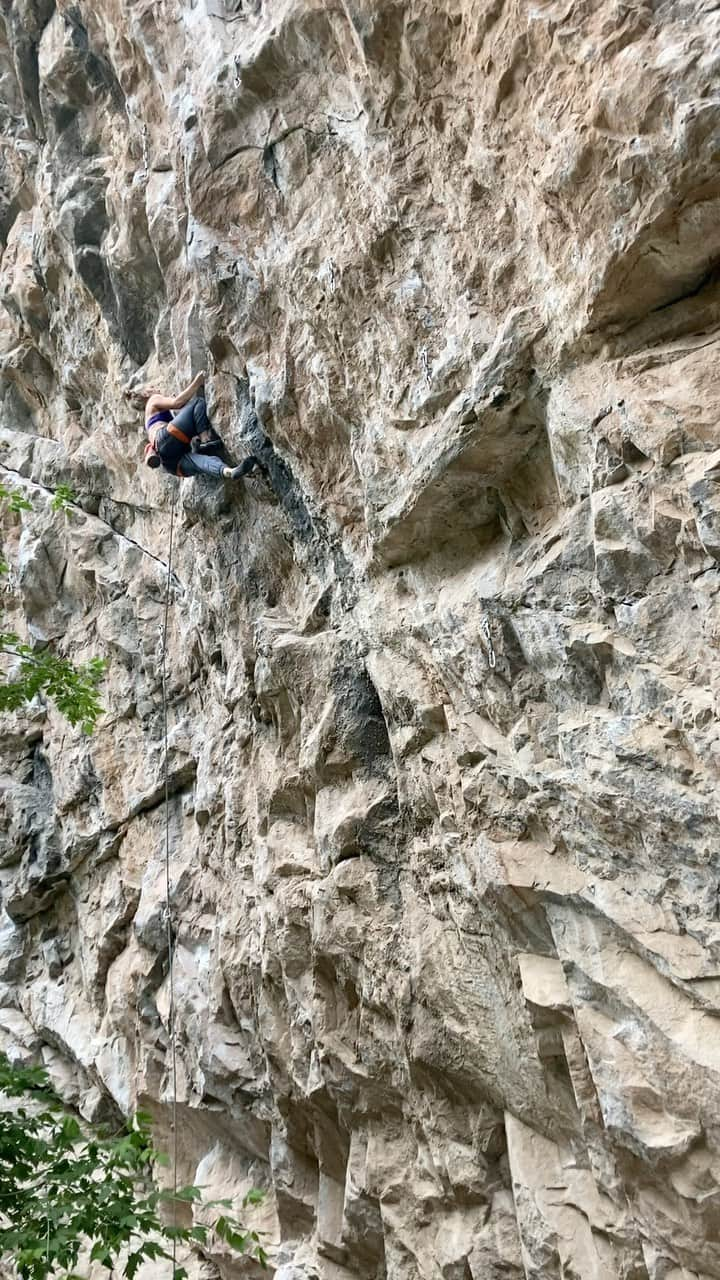 チェルシー・ルーズのインスタグラム：「I’m stoked to have sent ‘I’m not a philistine’ in rifle last week. It’s such a great climb that demanded the right amount of shoulder tension and strength.   Being 6 months post op means it’s feeling strong, but it’s still delicate in that some things just don’t feel good and it’s easy to over do it. AND it feels so good at times that it’s easy to just say “screw it” to the rehab here and there. But a little set back reminded me that rehab is for life EVEN when things feel good!   The video isn’t from the full send bc there’s not room to set up a phone to capture this long route. But here’s the bottom through the crux for ya! Enjoy!   Thanks @coffee.tape.climb for the belay and stoke」