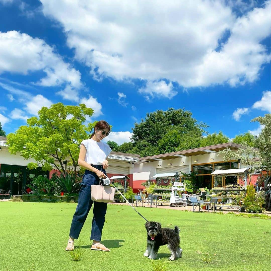 西山真以のインスタグラム：「* 朝活🐾☕️☀️  毎日快晴で夏本番ですね🌻  wear @loeff_official  bag @stateofescape 🕶 @eyevan_official  #miniatureschnauzer」